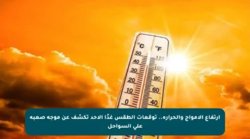 ارتفاع الأمواج والحرارة.. توقعات الطقس غدًا الأحد تكشف عن موجة صعبة على السواحل